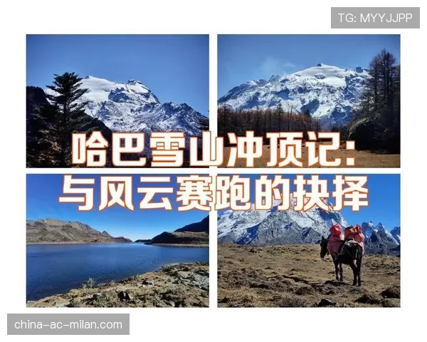顶级登山家的判断：他是如何根据天气变化决定是否冲顶的